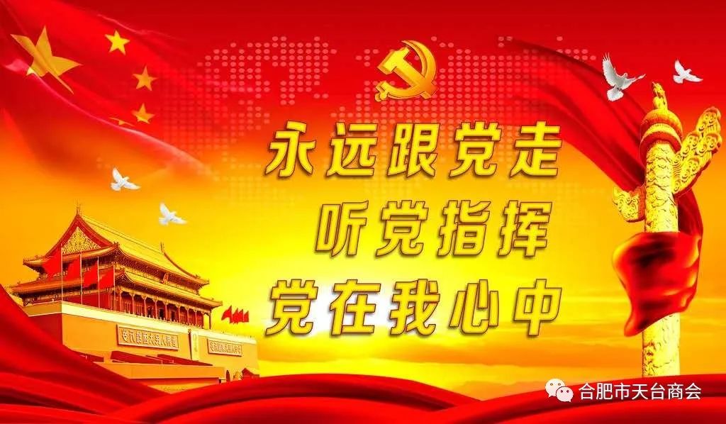 中共天台县流动党员合肥支部委员会 2020年8月第十一次党员活动日(图1) 图片